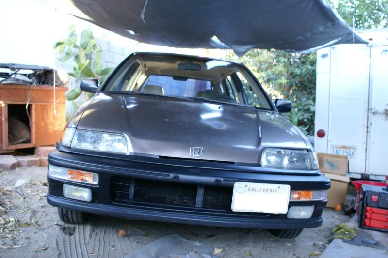 319.jpg