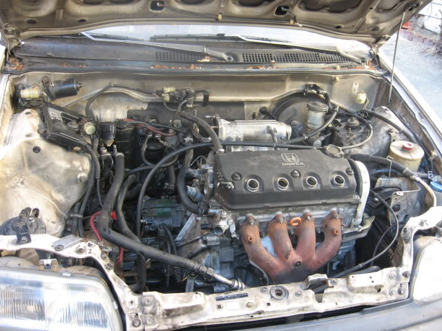 370.jpg