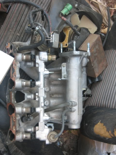 373.jpg
