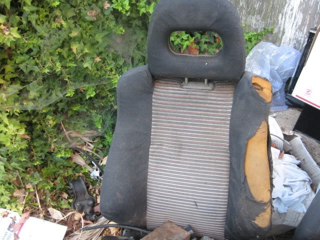 374.jpg