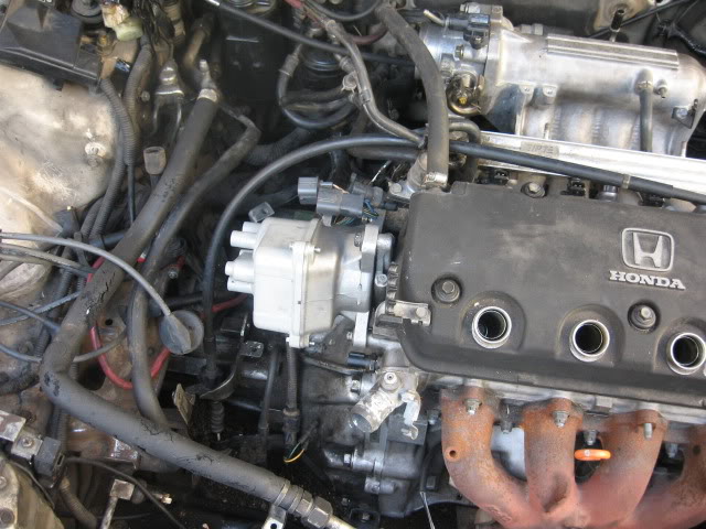 732.jpg