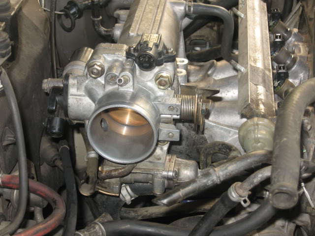 735.jpg