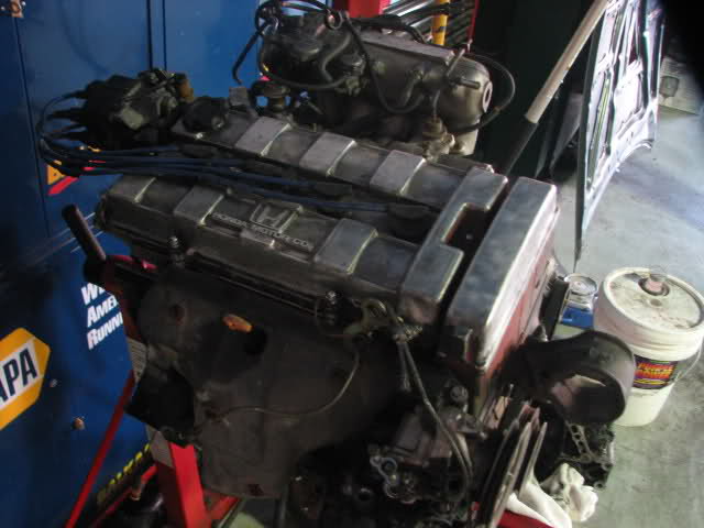 579.jpg