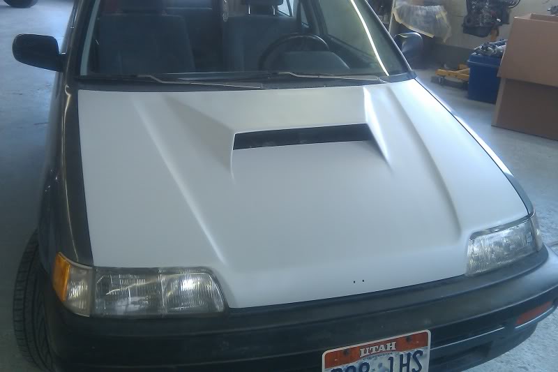 335.jpg