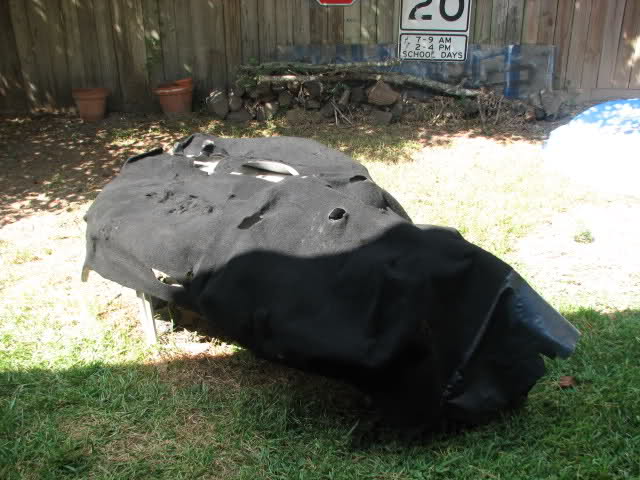 528.jpg