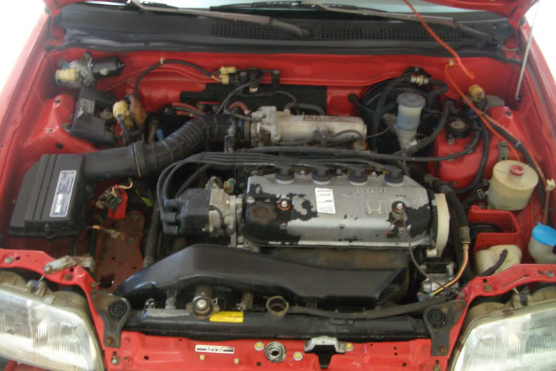 559.jpg