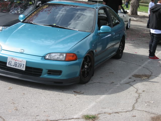 613.jpg