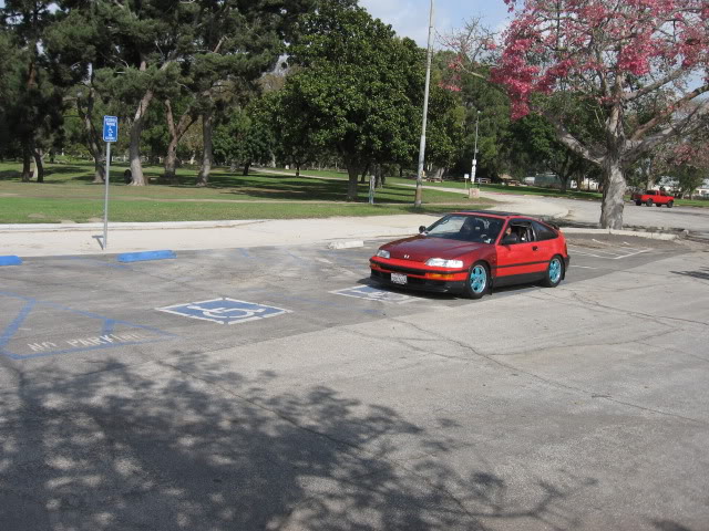 617.jpg