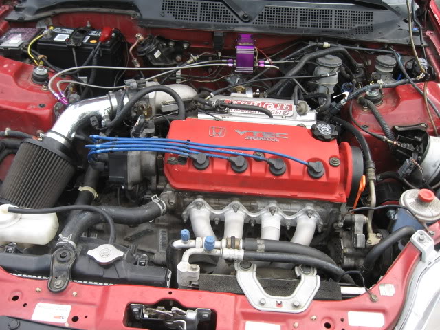 650.jpg
