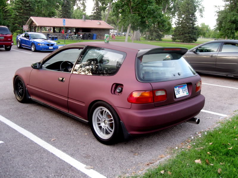 535.jpg