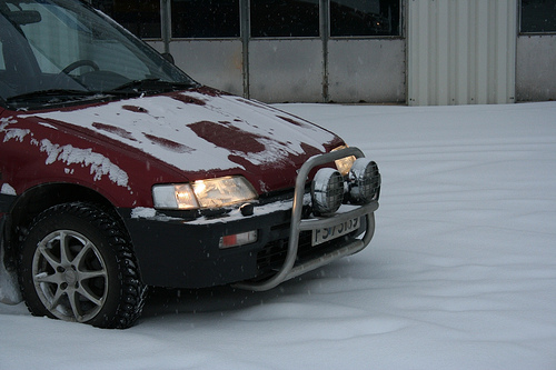 595.jpg