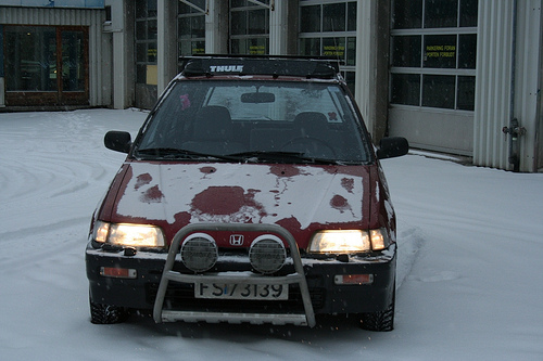 599.jpg