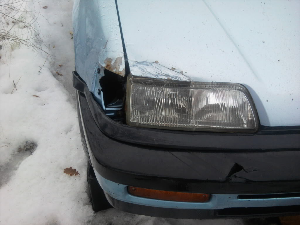 359.jpg