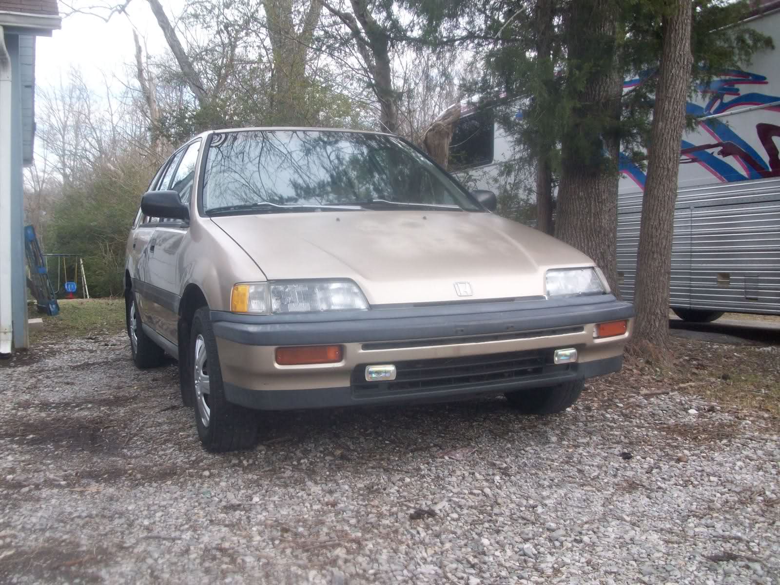 230.jpg