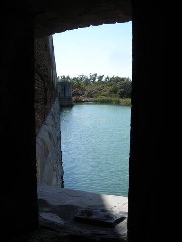 115.jpg
