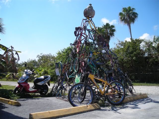 133.jpg