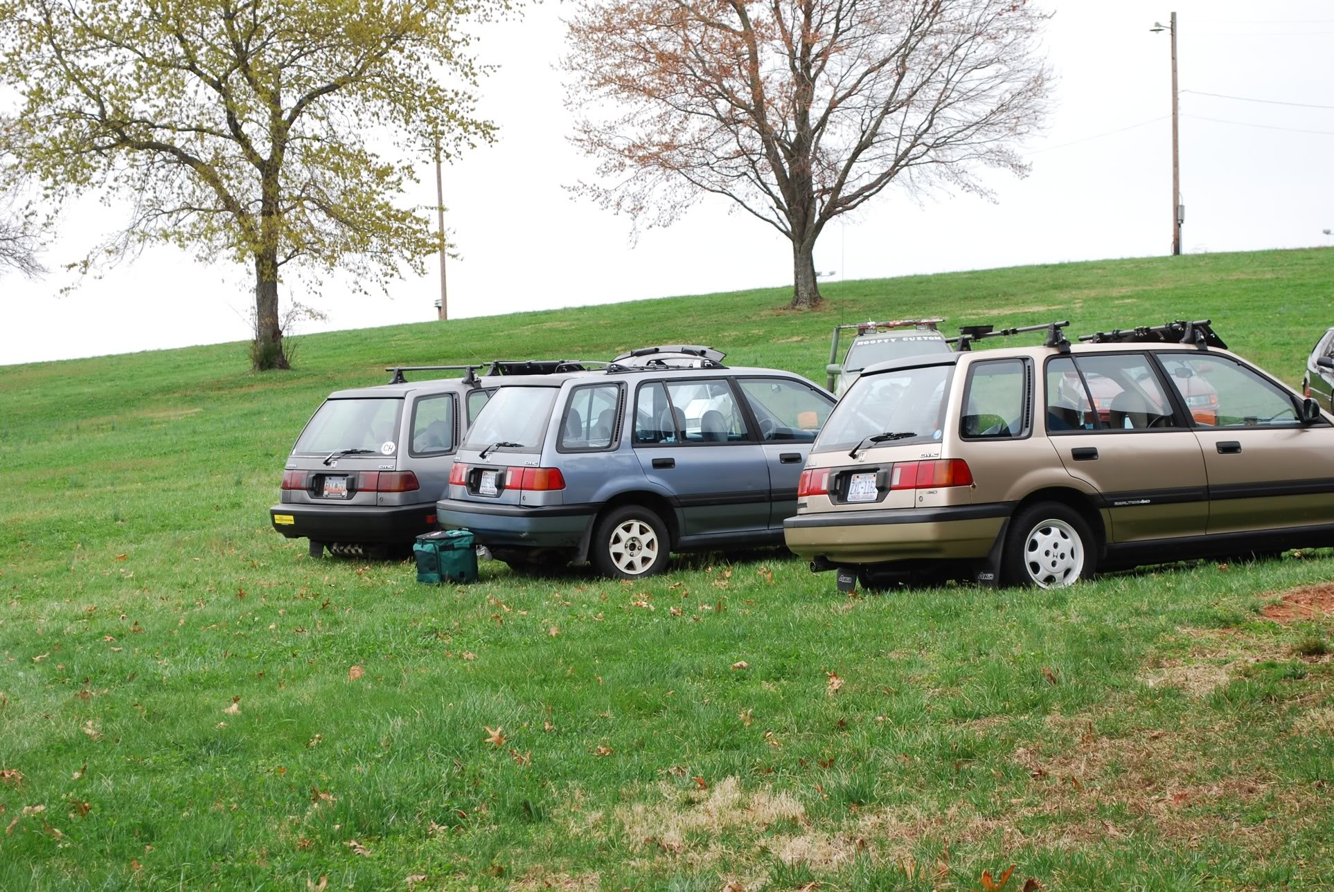 40.jpg