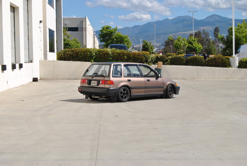 536.jpg