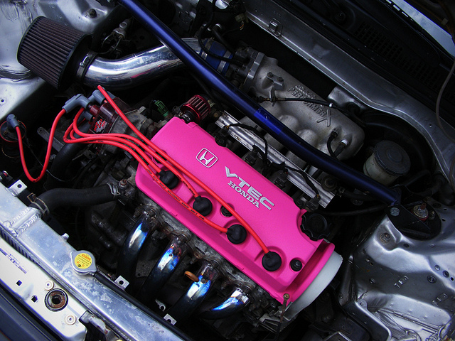 490.jpg