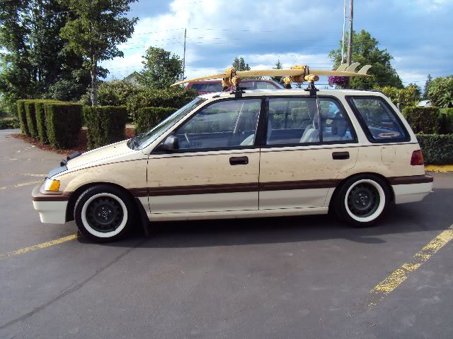 250.jpg