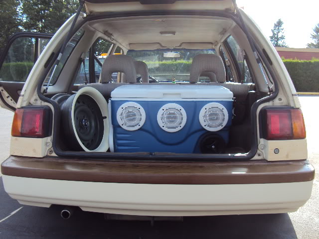 260.jpg
