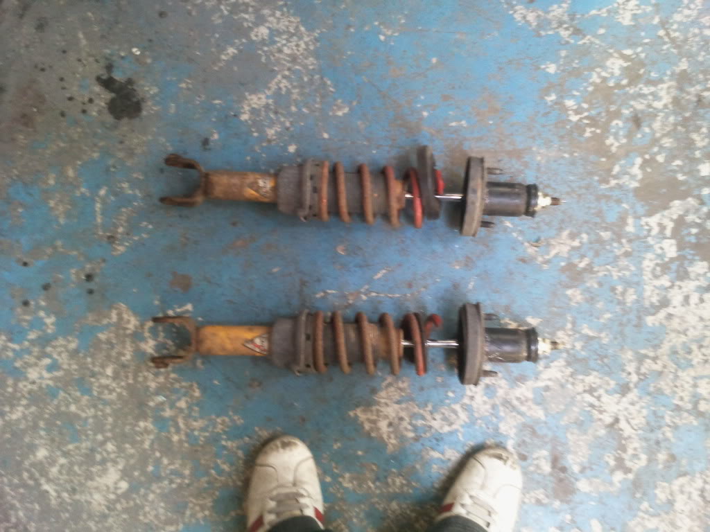 459.jpg