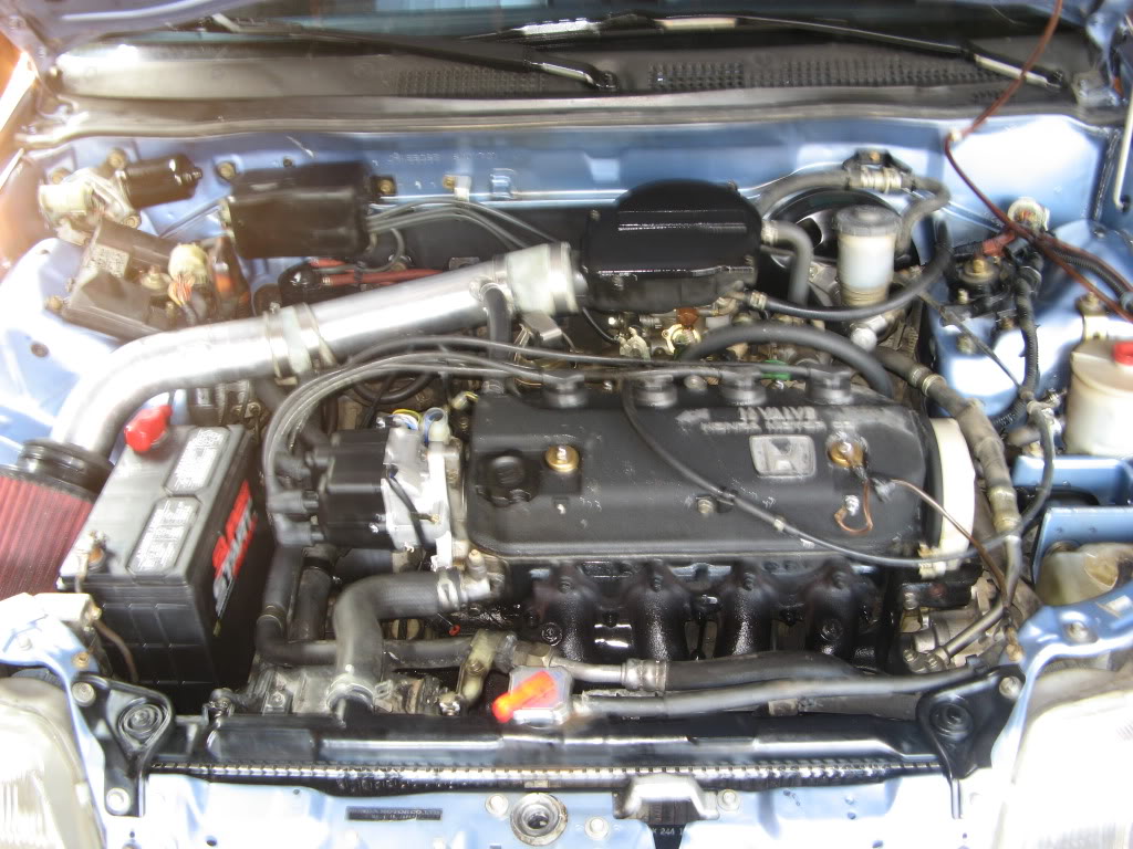 455.jpg