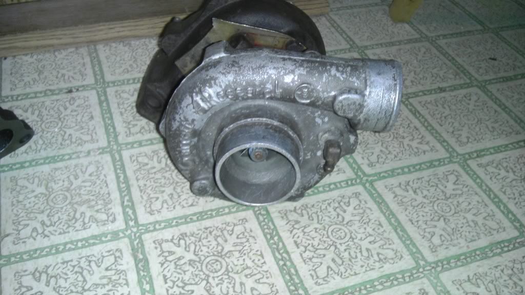126.jpg