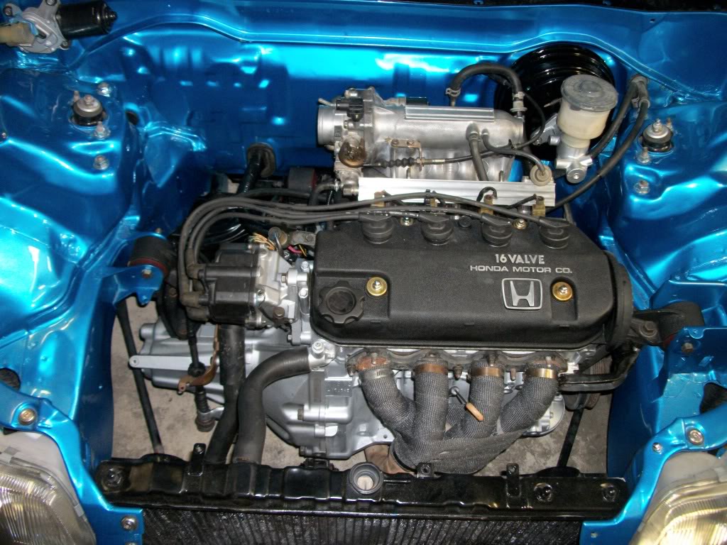 973.jpg
