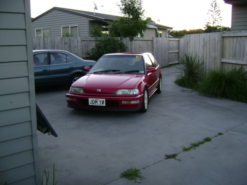 370.jpg