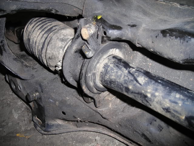 291.jpg