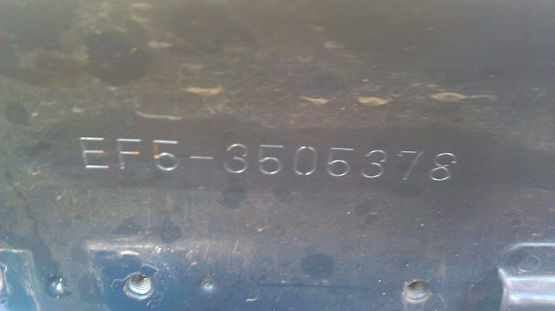 277.jpg