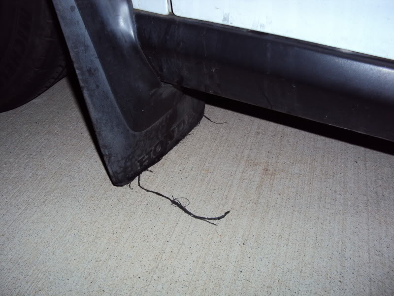 261.jpg