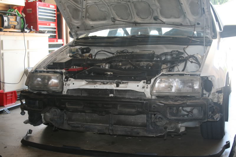575.jpg