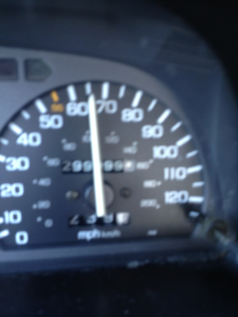467.jpg