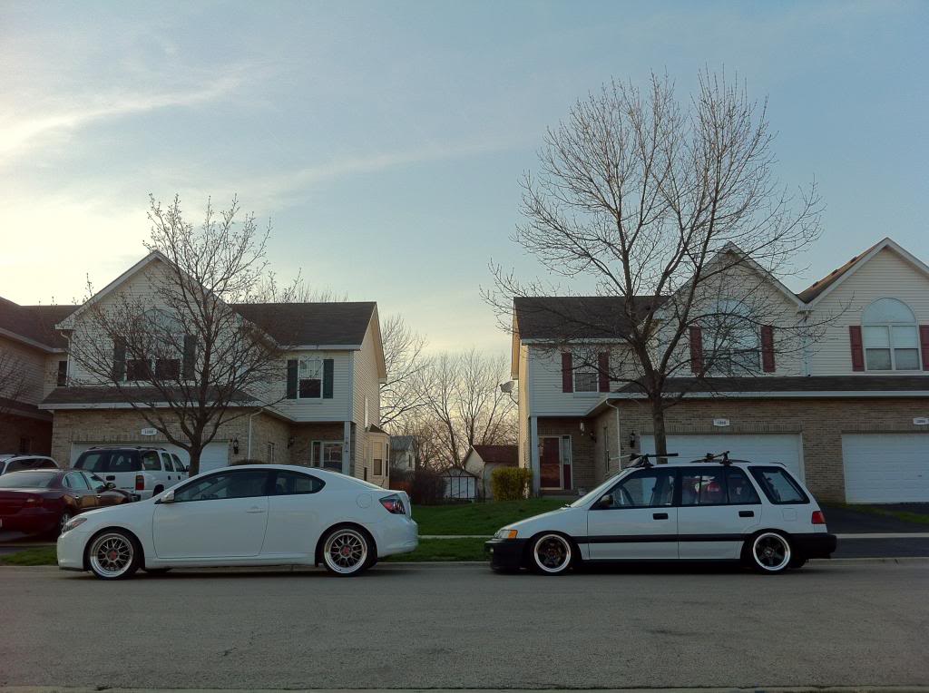 530.jpg