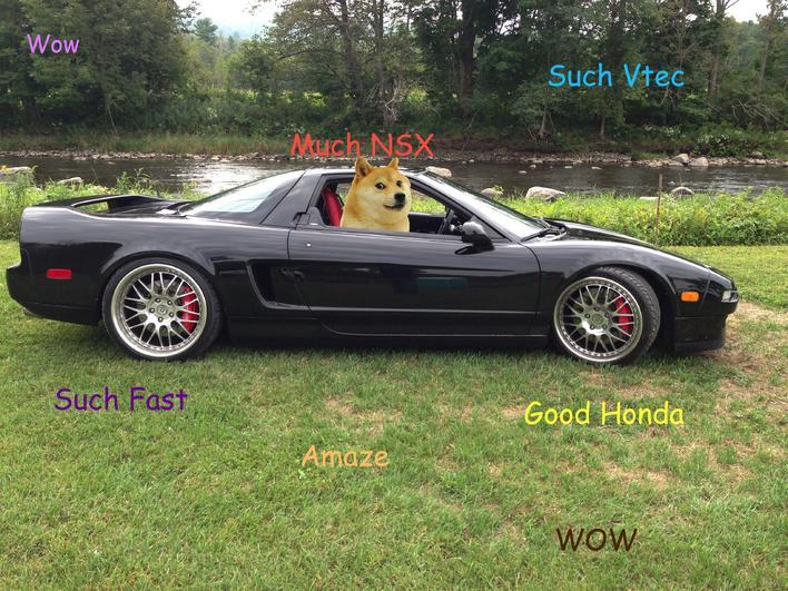 442.jpg