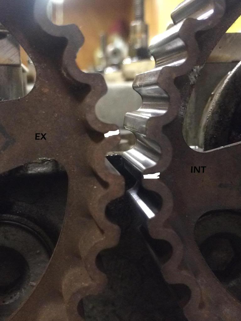 510.jpg