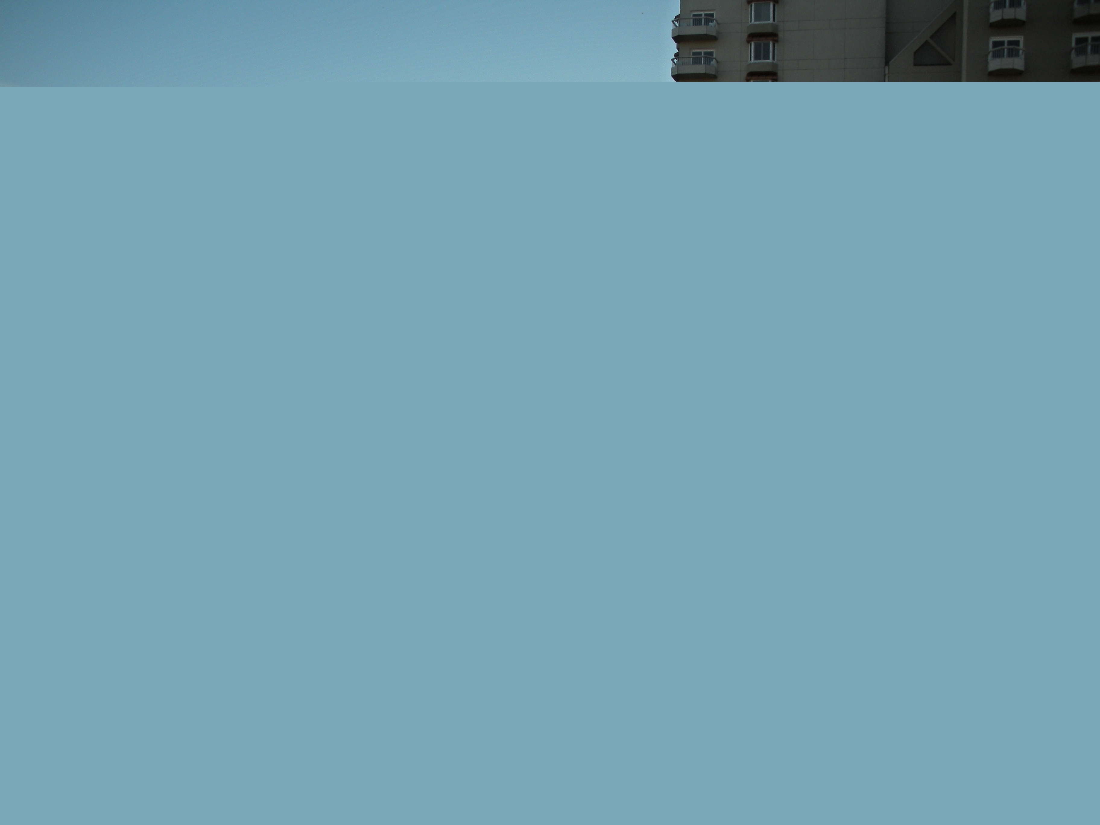 243.jpg