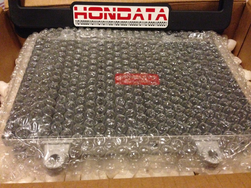 275.jpg